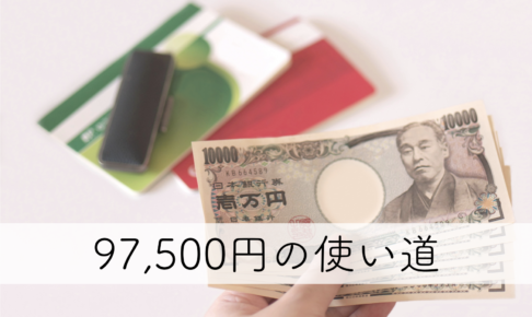 97,500円の使い道